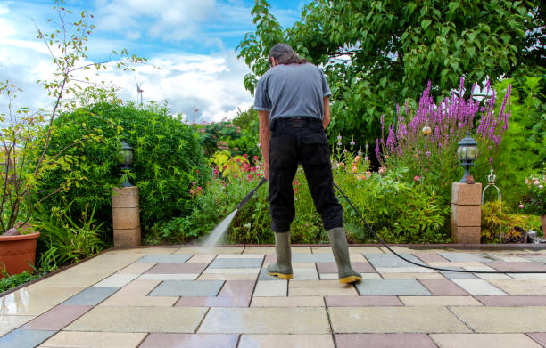 Best Fence Cleaning  in Easton, PA