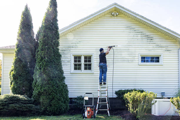 Best Building Exterior Washing  in Easton, PA